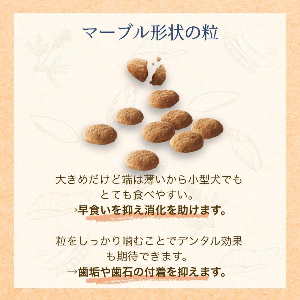 Amazon | ファーストチョイス ChoiceS(チョイスエス) ドッグフード